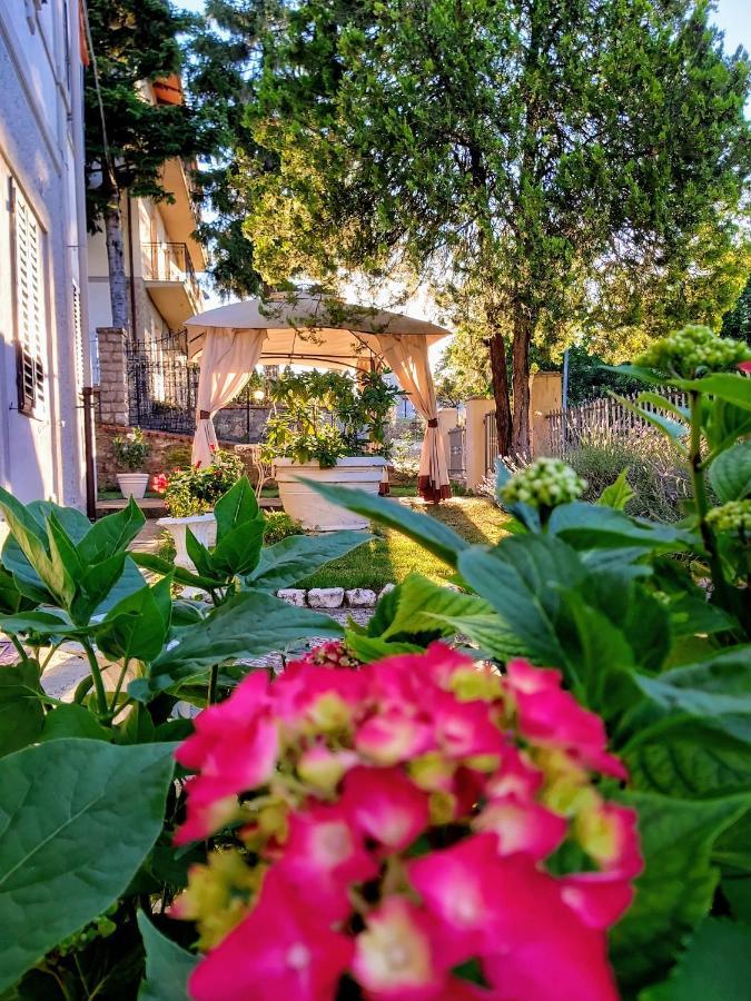 Villa Elvira Ambra Ngoại thất bức ảnh